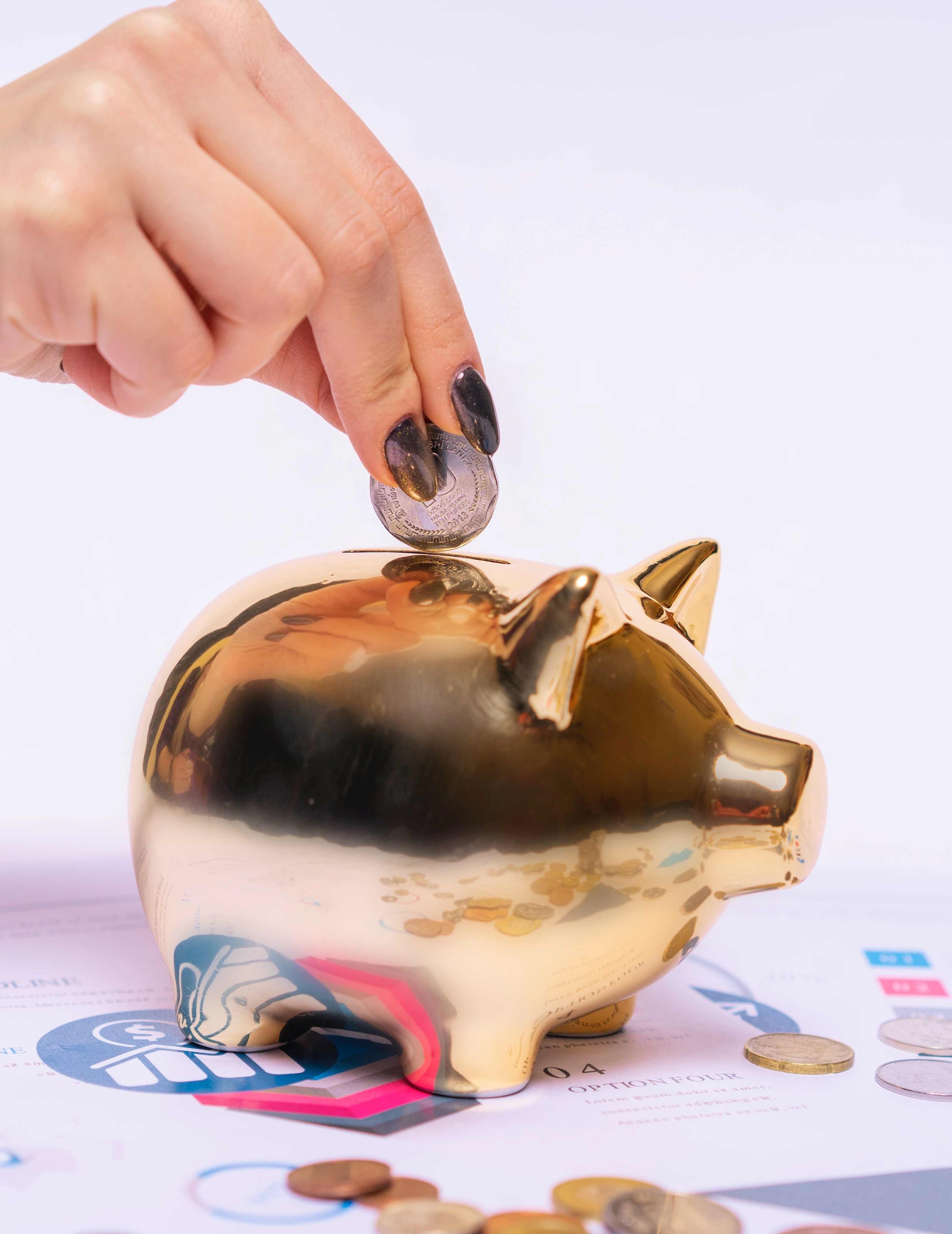 Savings in a piggy bank