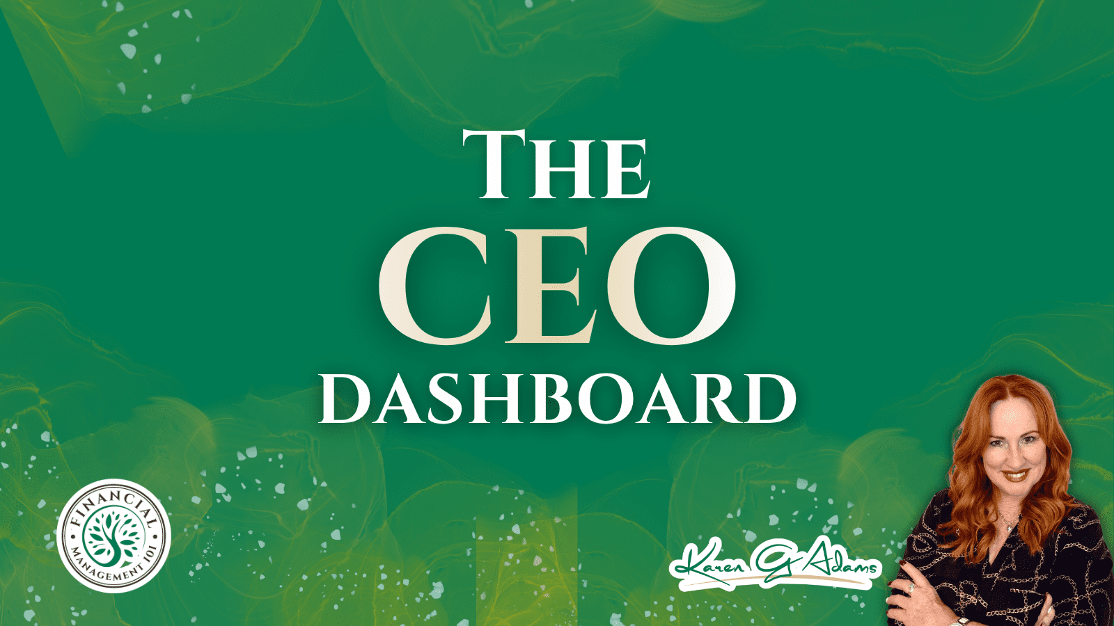 THE CEO DASHBOARD™<br />
