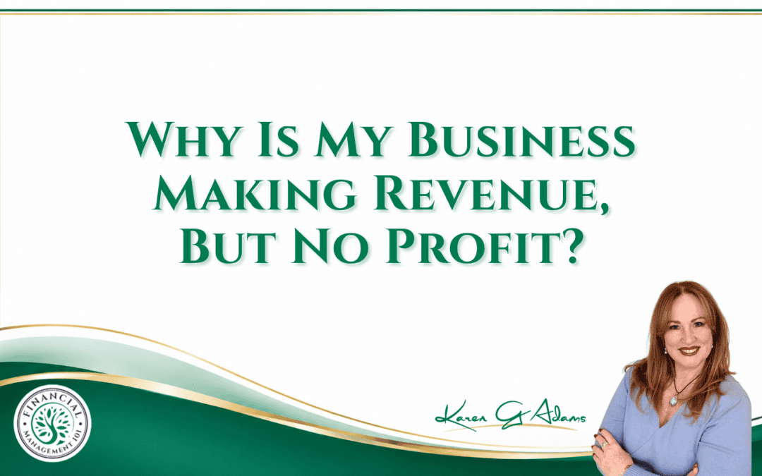 Why Is My Business Making Revenue, But No Profit?