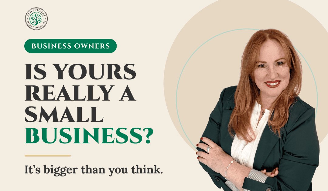 Karen G. Adams, Financial Management 101, in a green jacket beside the headline "Is yours really a small business? It's bigger than you think."